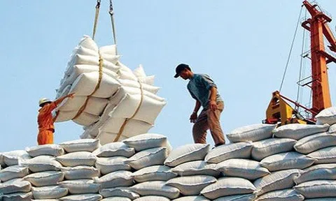 Indonesia cần 2 triệu tấn gạo dự trữ: Cơ hội tốt cho gạo Việt xuất khẩu